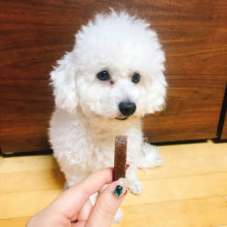 푸디웜 주식회사 [푸디웜] 강아지 저알러지 수제간식 4종세트 — 5점을 준 리뷰어가 2018년 12월 올린 사용 사진