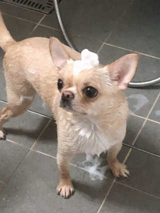 하얀비님이 올린 리뷰 사진 1
