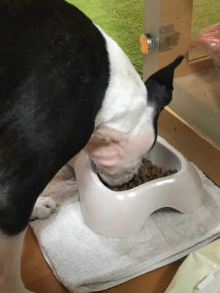 쥬녕님이 올린 리뷰 사진 3