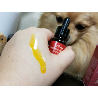 Peepingpomeranian님이 올린 리뷰 사진 3