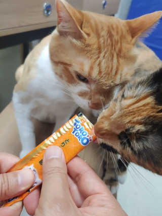 오나오나님이 올린 리뷰 사진 3