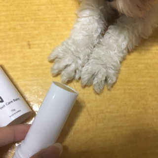 그래그래님이 올린 리뷰 사진 3
