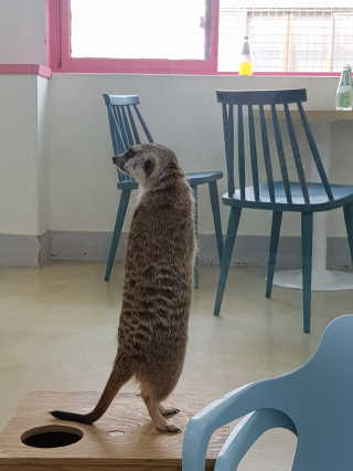 꿀피부님이 올린 리뷰 사진 4