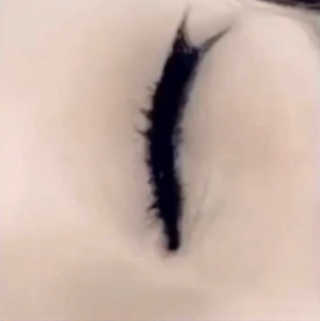 피카소 밍크래쉬속눈썹 1종 + 내추럴속눈썹 1종 랜덤증정 — 5점을 준 리뷰어가 2019년 9월 올린 사용 사진