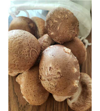오똑하지님이 올린 리뷰 사진 4