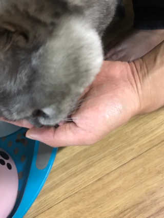 바푸니님이 올린 리뷰 사진 2