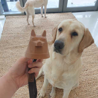 리아님이 올린 리뷰 사진 3