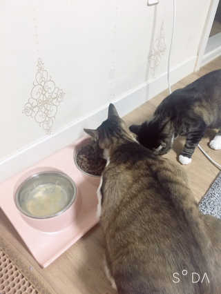 징니คʕ•ﻌ•ʔค님이 올린 리뷰 사진 4