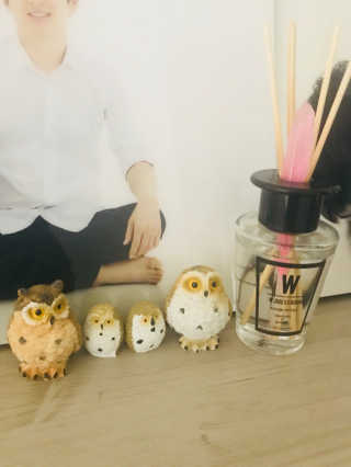 더블유드레스룸 퍼퓸 디퓨저 70ml — 5점을 준 리뷰어가 2018년 6월 올린 사용 사진