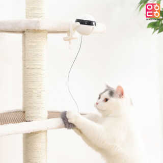 킴귤님이 올린 리뷰 사진 3