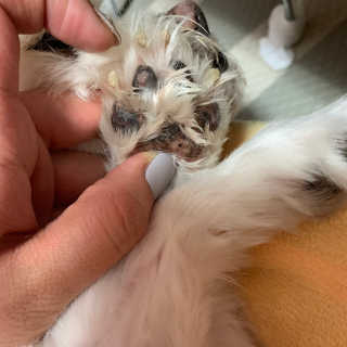 어거스트비님이 올린 리뷰 사진 4