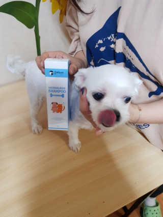 BoRamLee님이 올린 리뷰 사진 1