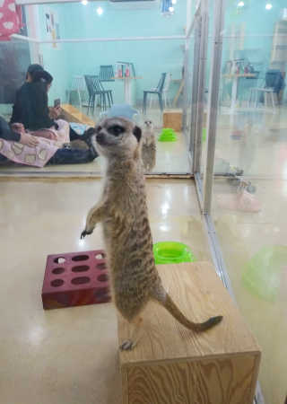 치르치르님이 올린 리뷰 사진 2