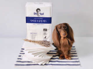 robebel님이 올린 리뷰 사진 2