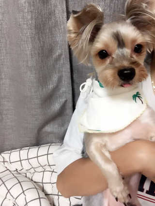 찌니님이 올린 리뷰 사진 1