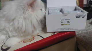 귀요미현님이 올린 리뷰 사진 1