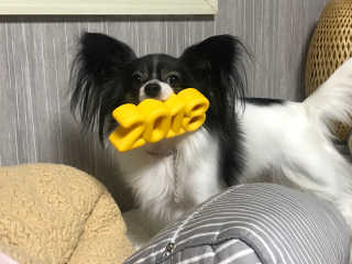하나마리님이 올린 리뷰 사진 3