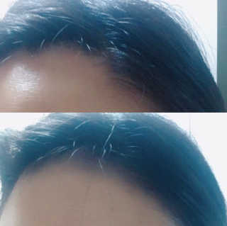 다슈코리아 다슈 안티 헤어로스 헤어쿠션 16g — 4점을 준 리뷰어가 2017년 3월 올린 사용 사진