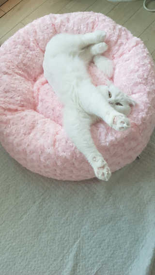 Elin님이 올린 리뷰 사진 3