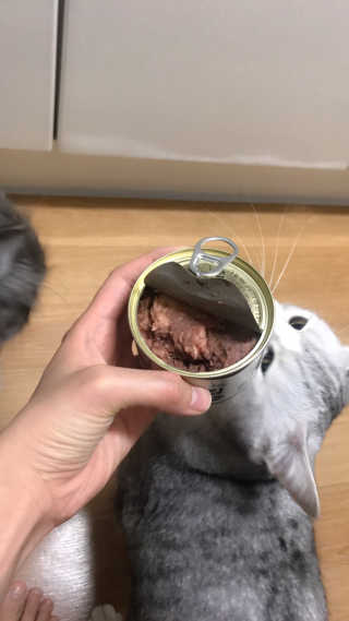 오래오니뚜님이 올린 리뷰 사진 4