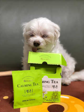 ejejejluv님이 올린 리뷰 사진 4