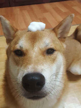 컴백08리터님이 올린 리뷰 사진 2