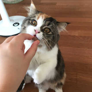 박유진님이 올린 리뷰 사진 1