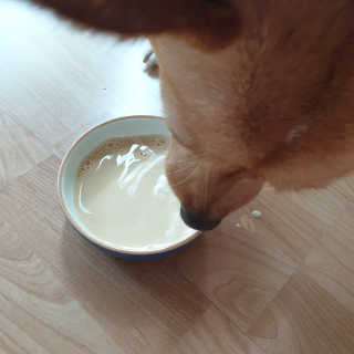ㅋㅋㅋ님이 올린 리뷰 사진 3