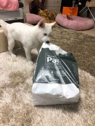 써지님이 올린 리뷰 사진 1