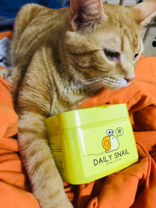 이아님이 올린 리뷰 사진 1