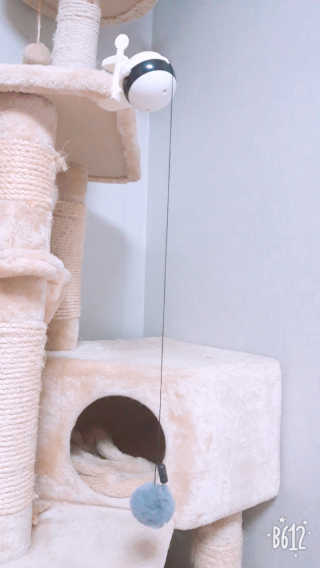 몽몽실님이 올린 리뷰 사진 2