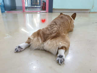 은엘리님이 올린 리뷰 사진 4