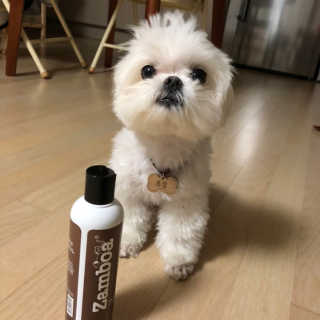 율리킴님이 올린 리뷰 사진 1