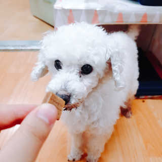 건빵속별사탕님이 올린 리뷰 사진 3