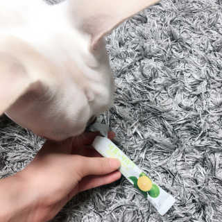 불독키우는개엄마❤️님이 올린 리뷰 사진 4