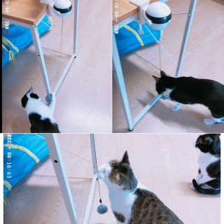 minahjjing님이 올린 리뷰 사진 1