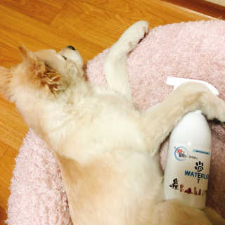 밍님이 올린 리뷰 사진 2