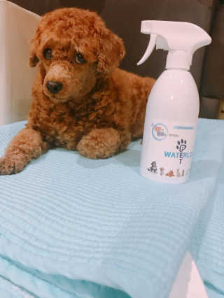이보은님이 올린 리뷰 사진 3