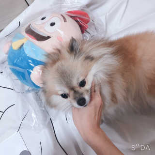 디자이너조은희님이 올린 리뷰 사진 4