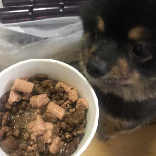 [펫토리아]배피 고양이,빌리강아지 대용량주식캔 — 4점을 준 리뷰어가 2019년 7월 올린 사용 사진