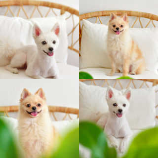 포비탄님이 올린 리뷰 사진 3