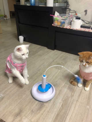 ㅎㅈㅎㅈ님이 올린 리뷰 사진 3