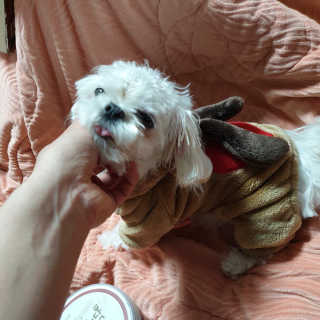 초밥님이 올린 리뷰 사진 1
