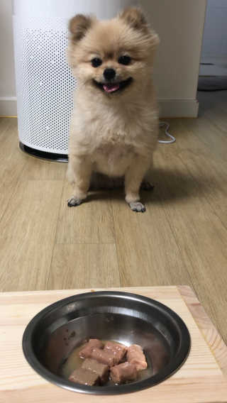 [펫토리아]배피 고양이,빌리강아지 대용량주식캔 — 5점을 준 리뷰어가 2019년 7월 올린 사용 사진