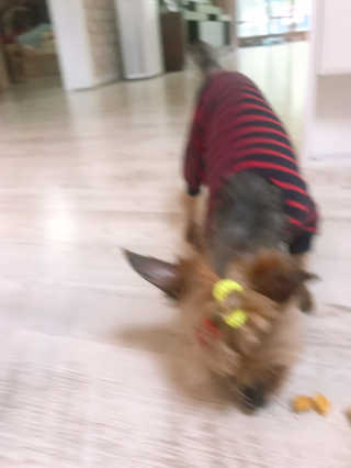 김콩콩님이 올린 리뷰 사진 4