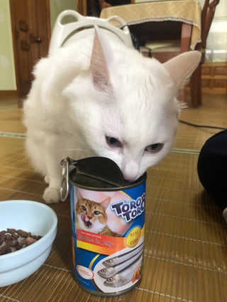 제시님이 올린 리뷰 사진 4