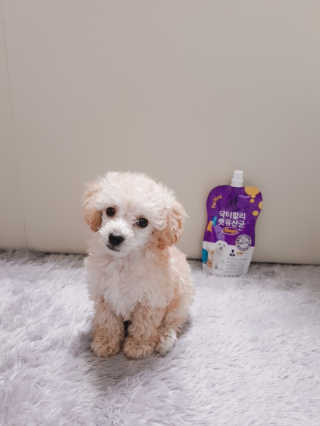 뗘윤님이 올린 리뷰 사진 1