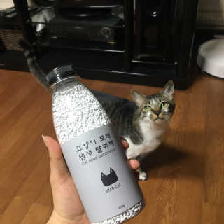 다니당근님이 올린 리뷰 사진 2