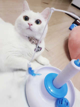 효니님이 올린 리뷰 사진 1