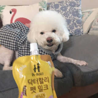 닥터할리펫밀크 8종 — 5점을 준 리뷰어가 2019년 1월 올린 사용 사진